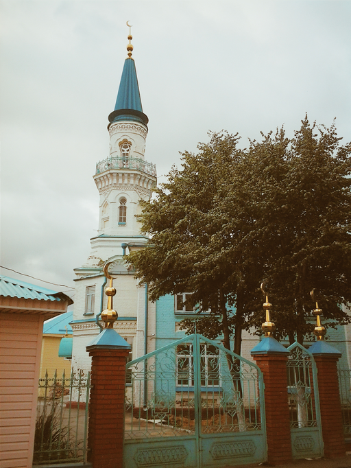 Розовая мечеть)